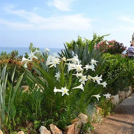 Hotel Aphrodite